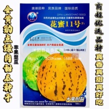 花蜜11号甜瓜种子豹皮点八里香花绿肉香瓜种孑农家春夏播冰糖子种