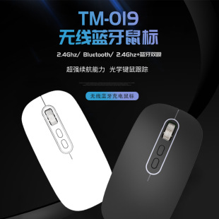 TM-019 �o������o��RGB�X�Ͻ�L݆�������߲ʟ�Ч+���밴�I��
