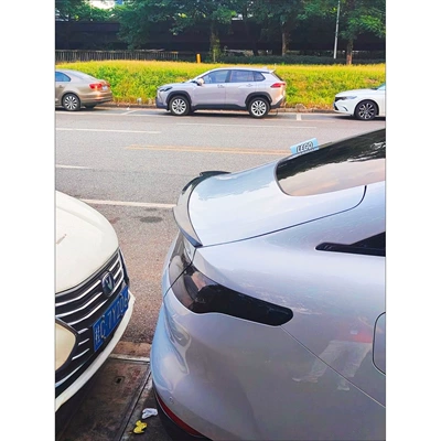 Car Wing, Fixed wind wing