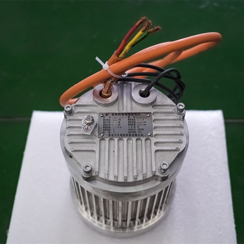 Lijiu Lh Series Hydrogen Fuel Cell Air System Motor High-Speed Permanent Magnet Variable Frequency Hydrogen Pump Motor Customization