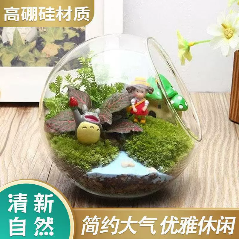 Микро-ландшафтный экологический горшок для растений из высокоборосиликатного стекла, прозрачная ваза для суккулентов и зеленых растений