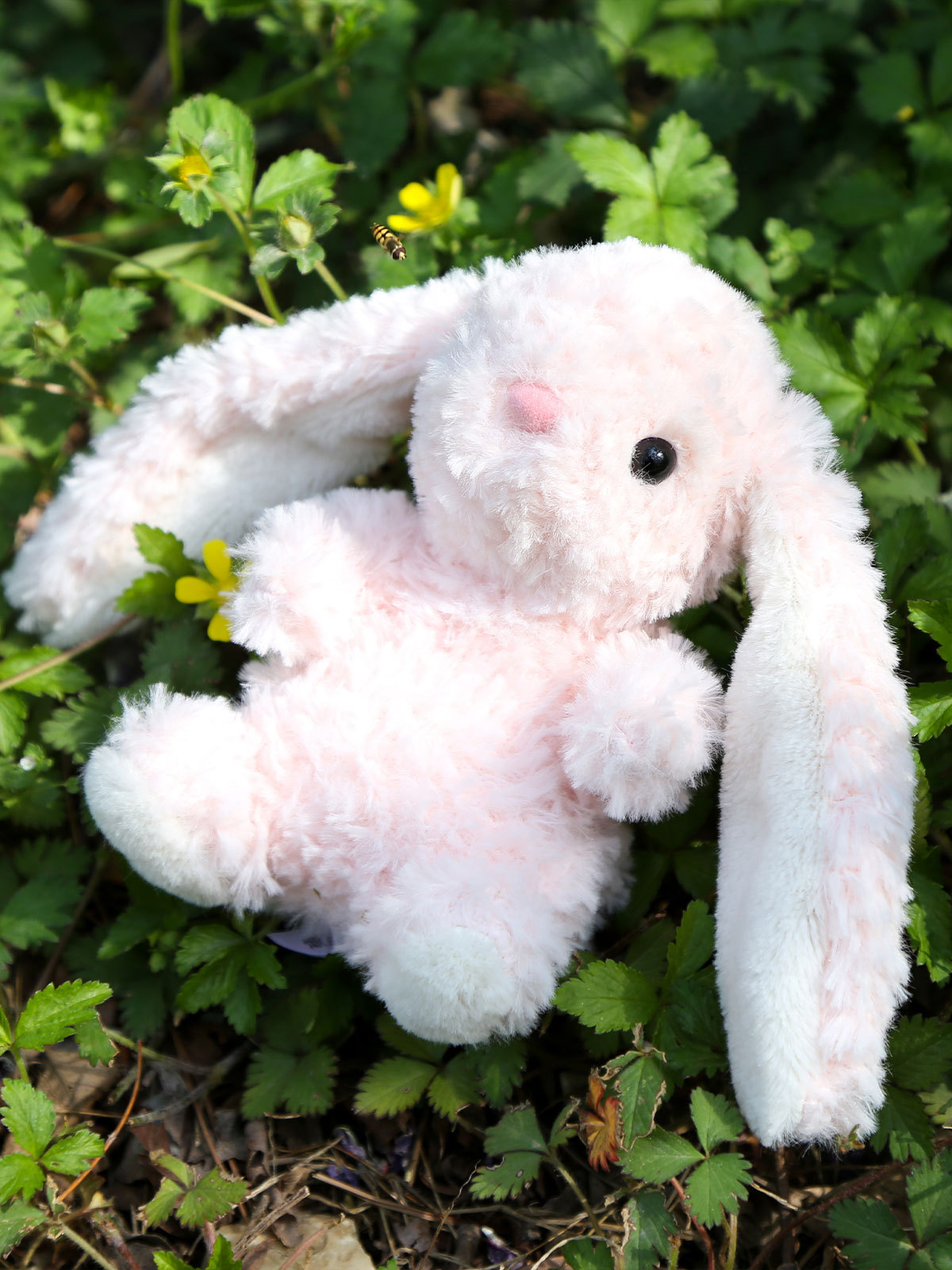 详情-甜美垂耳小兔 (1).jpg