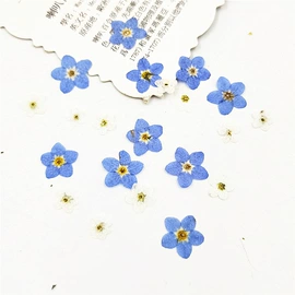 干花;鲜花花艺制品