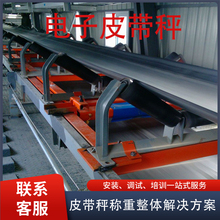 计量秤电子皮带秤称重传感器测速传感器仪表高精度皮带秤生产厂家