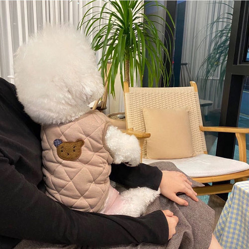 Autumn and winter thin puppy vest Teddy VIP Bichon Pomeranian cat small dog clothes winter pet cotton coat
