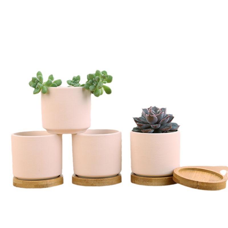 Thumb Pot Breathable Fleshy Ceramic Flower Pot Plain Burning DIY Hand-painted Coarse Pottery Green Plant Pot Meat Pot Clearance Cactus