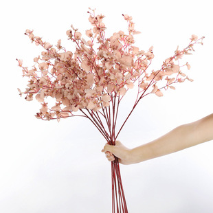 ���滨�������������m �ٻ��m���껨 �����m�Ҿ��b�c��t����