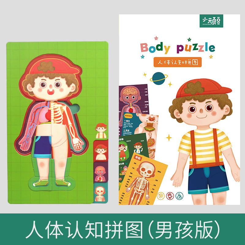 Ilustración científica de los niños estructura del cuerpo humano rompecabezas órgano anatomía hueso cognición educación temprana cuerpo vísceras rompecabezas juguete