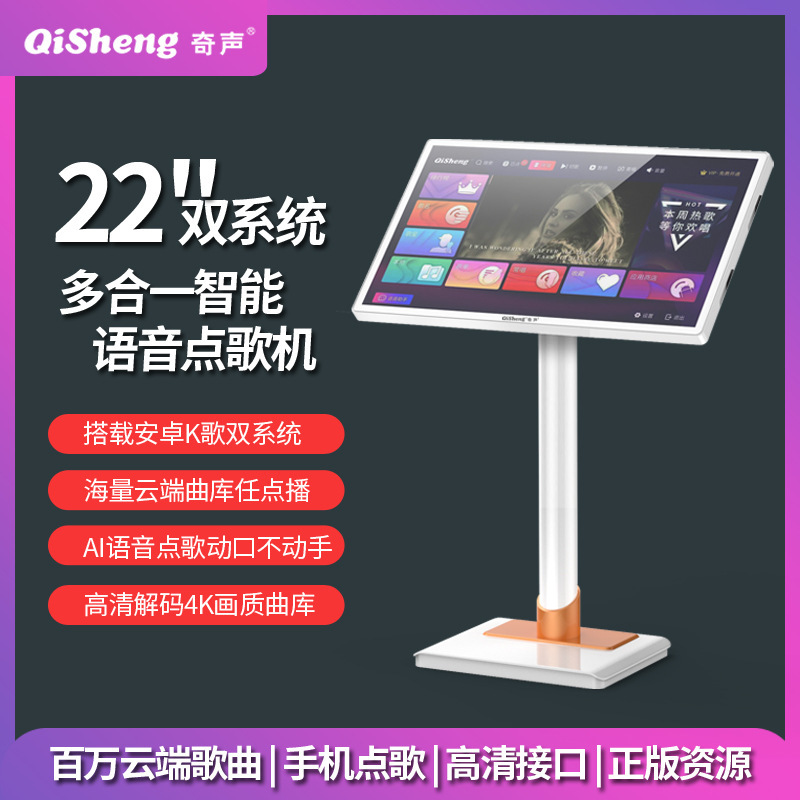 Qisheng Ktv Dedicated Karaoke All-In-One Machine Karaoke Screen Floor-Standing Bracket Music Reading Machine Karaoke Machine Set Home Karaoke Machine