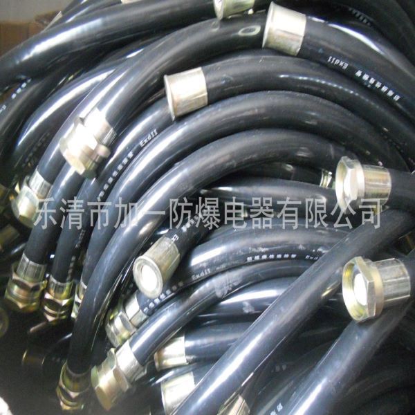 防爆软管LCNg 防爆连接挠性管BNG-20*700 防爆管
