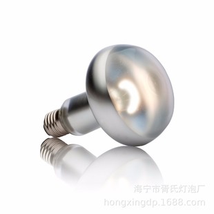 New climbing pet heating day lamp UVA powerful spotlight 25W 40W 50W 60W 75W 100W in stock