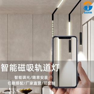 25MM smart magnetic track light high pressure 220V full series dimming color adjustment track light line floodlight hanging lamp