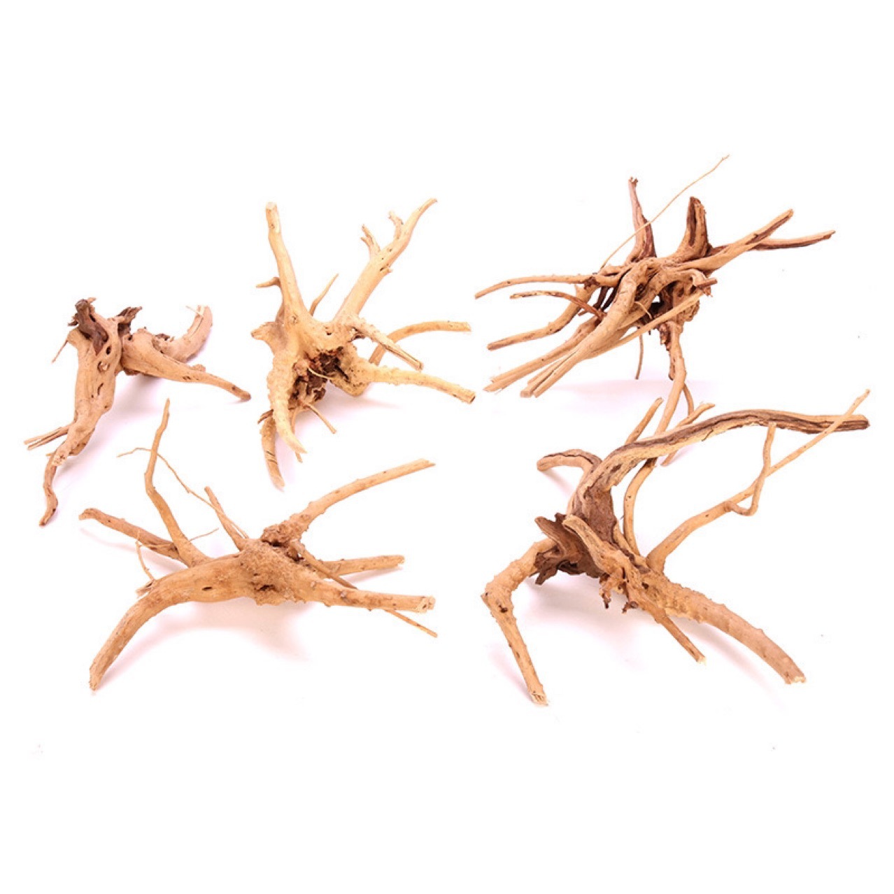 小栖根鱼缸造景