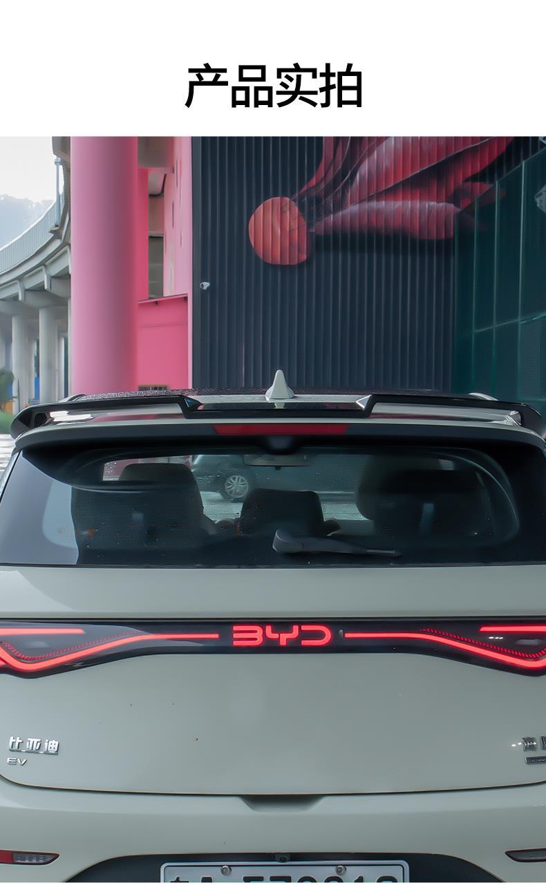 25 Byd Dolphin Intelligent Driving Edition Rear Wings, Fixed Wind Wings, Sports Top Wings, No Punching, Appearance Upgrade and Modification Accessories