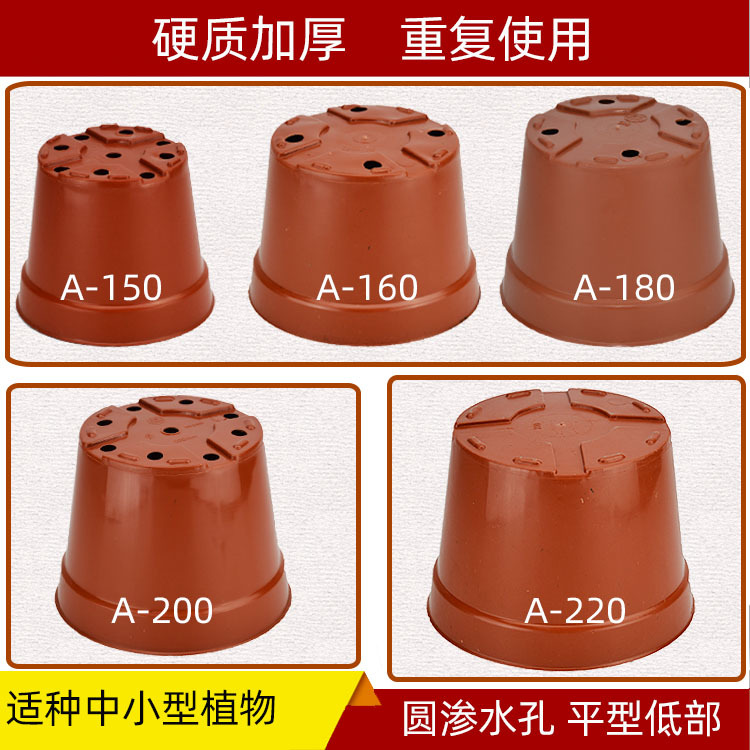 A������Ӫ����Բ�β��ܻ���ƽ��������ֲ��ֲ��ɫ[���۴���ֱ��]
