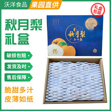 秋月梨梨王梨皇礼盒装多种规格欢迎选购白梨甜润鲜果直达梨子