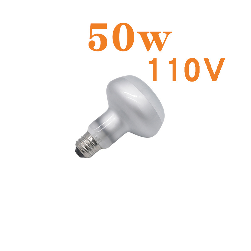 R80 사막 태양 램프 110V 50w