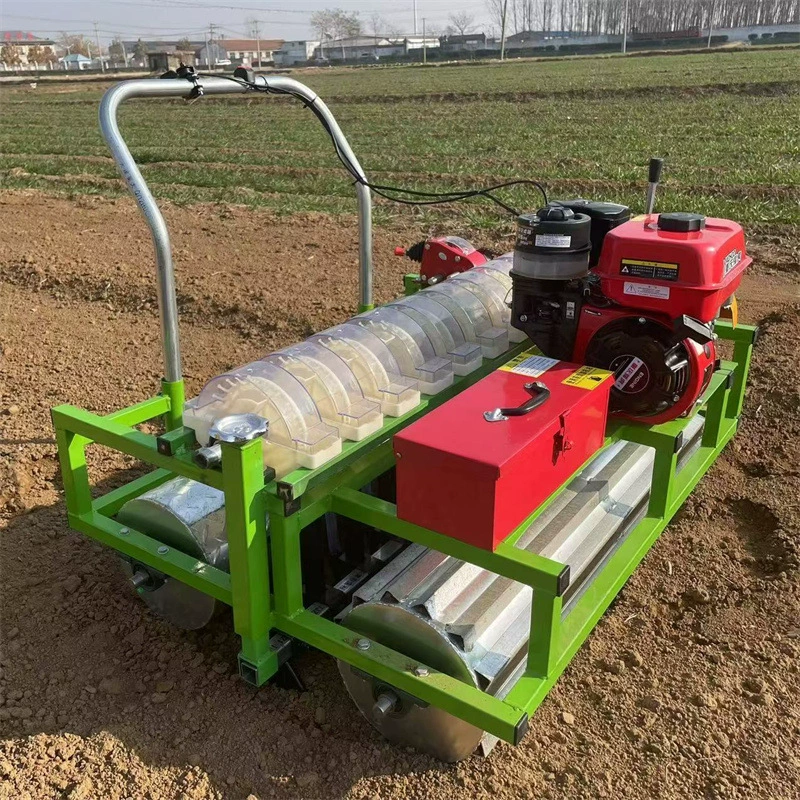 Кориандр, артемизия, мелкозернистая машина, высокоэффективная машина для выращивания овощей