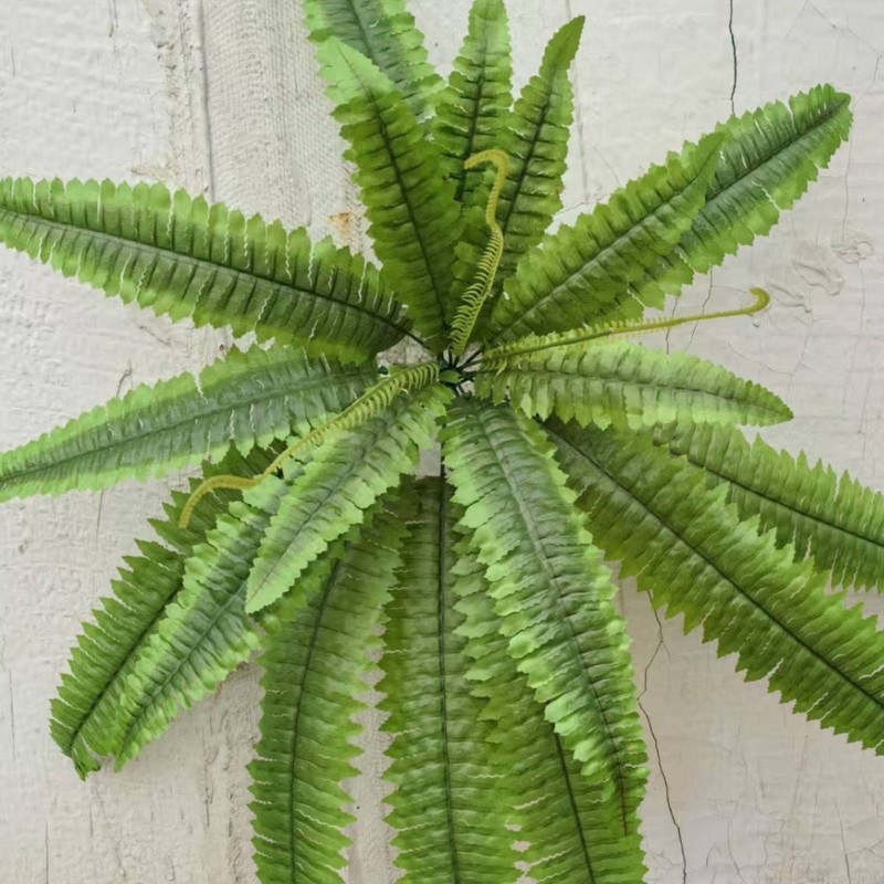 模擬ペルシャ草植物卸売シルクペルシャシダの葉結婚式家の装飾植物壁熱帯植物|undefined