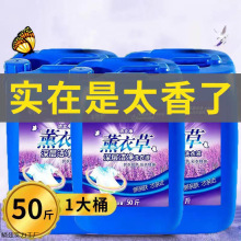 新款洗衣液大桶斤 酒店宾馆专用留香散装 商用家用实惠装大容量