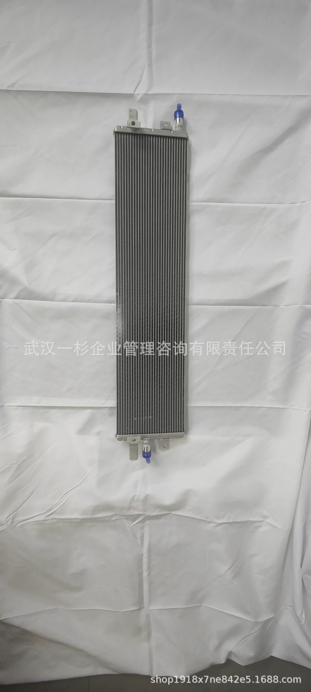 Direct sales from the original manufacturer B100006560 B016691 motor radiator for Yixuan MAX/Haoji