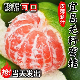 蔬菜罐头;传统糕点;水果罐头