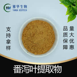番泻叶提取物  雅华生物 番泻叶粉 番泻叶甙 番泻叶浸膏喷干粉