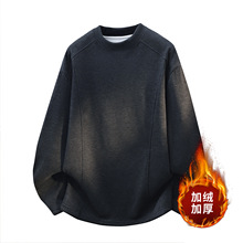 ���2025�ﶬ��ʿ�ӽq�Ӻ�½q�������ů�L��T��DL2503