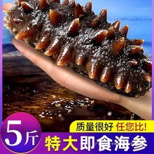 ������ʳ�r���rʳ�|�̅���؛�������ЋD�̅��Y��500g�؃r�B���b