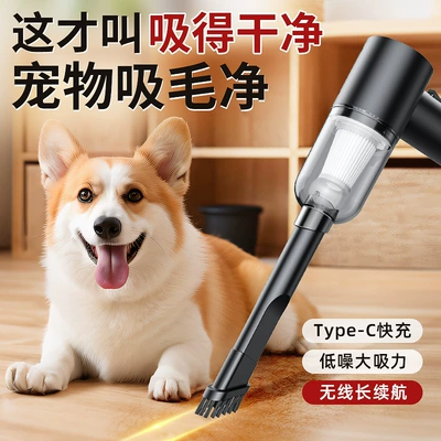 High-Power Vacuum Cleaner for Home | Tozsoranlar