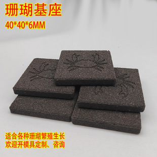 Coral Button Propagation Base Sps Broken Branch Limb Base Bracket Ceramic Square Black Tray Manufacturer