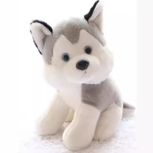 Kids' Toy