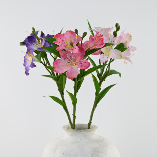 �����ָаٺϻ� 62����������ˮ�ɻ��ҾӲ����Ӱ��g�廨�b[�O