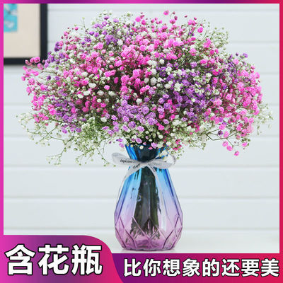 Gypsophila Dried flowers Bouquet of flowers Air drying a living room a decoration A new house decorate Decoration desktop flower arrangement fresh