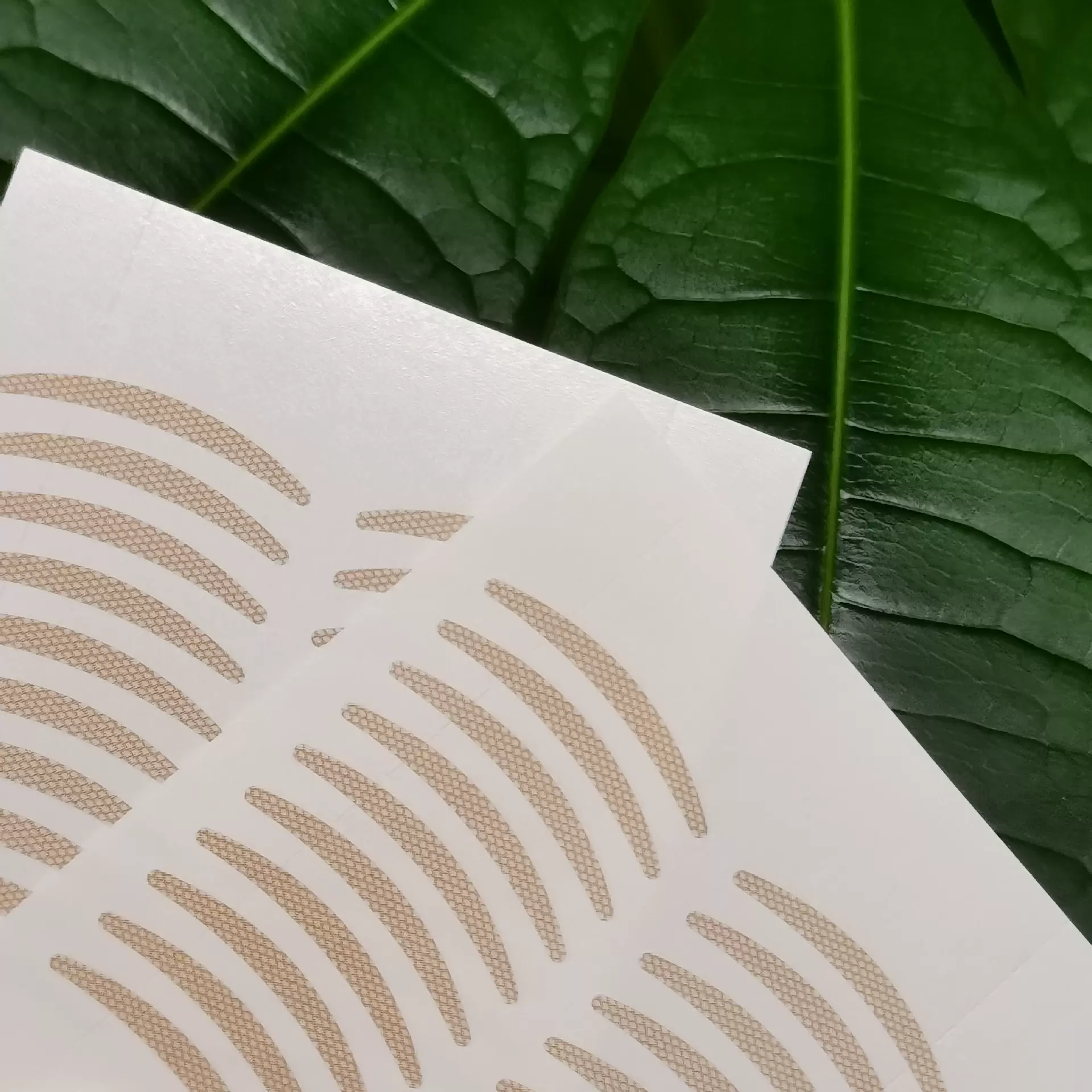 外贸网格双眼皮贴裸片美目贴透气自然服帖隐形橄榄细长款