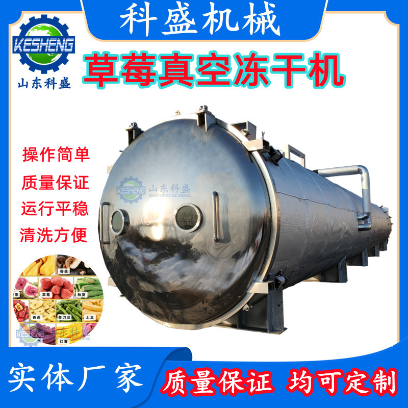 真空冷冻干燥机 冻干鸡胸肉宠物食品冻干机 山楂草莓柠檬冻干设备
