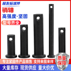 8.8箱装高強度ピン軸GB882平頭穴付きピン軸45号鋼高強度スポットピン軸