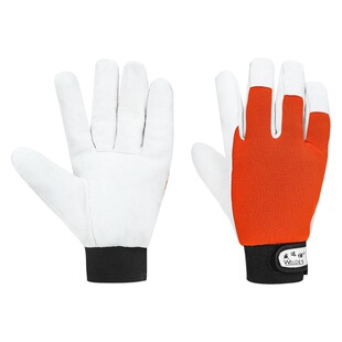 ��Ƥ늺����o���� ���C͸�� �m��춴�ĥ�и���\����