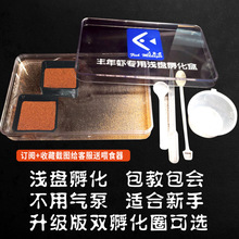 �S���r�ѷ������u�x�����������\�P�������S���x��t�ѳ����ѷ���