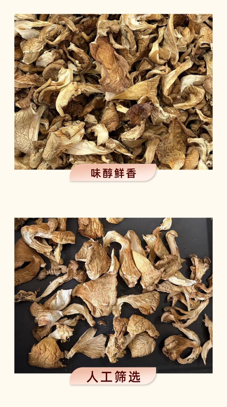 Dried Yuanmo Mushroom Whole Wild Forest Mushroom for Soup and Stew 500g specifications