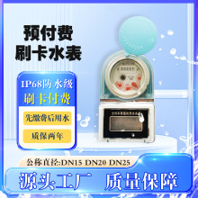 全防水预付费智能水表 小区农村自来水纯铜阀控抗冻IC卡刷卡 水表