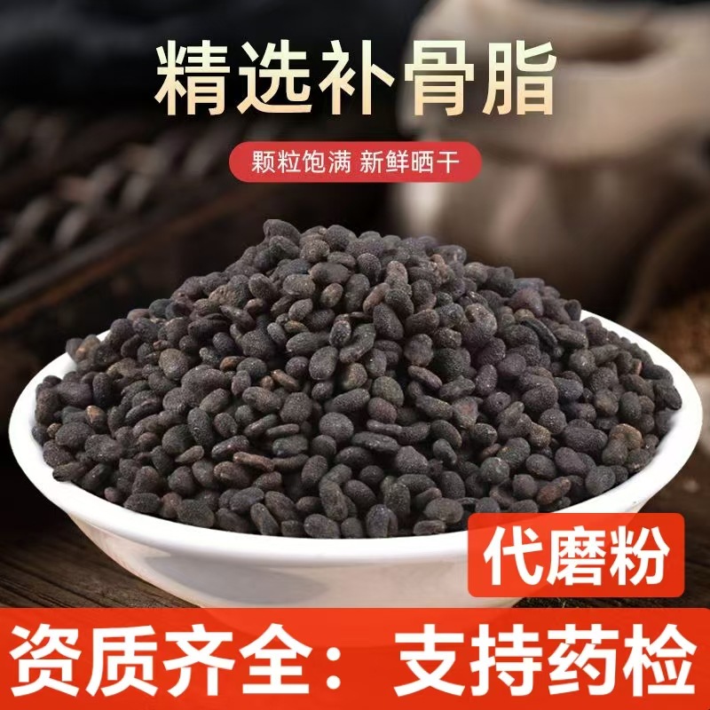 补骨脂 中药材批发  破故纸 黑骨子 干净无杂 支持药检 承接订单