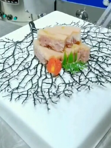 K9HX wholesale sashimi plate decoration hotel plate decoration flowers and plants simulated coral tree sushi dishes cold dishes plate order