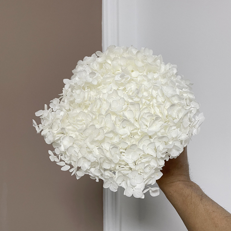 Yunnan Anna Hydrangea Flower Wholesale DIY Flower Preservation Flower Materiales de Regalo de Navidad