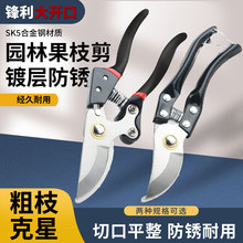 l֦֦üժ@ˇ֦늼ľl