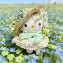 �����Gɫ�����Y���޲�ñkitty�������ż耳׿ے��2026���ĶY��