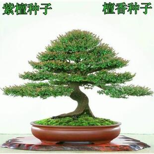 �·N�� С�~��̴�N�� ̴���N�� ӡ����̴�N�� ���~��̴�N�Ә���