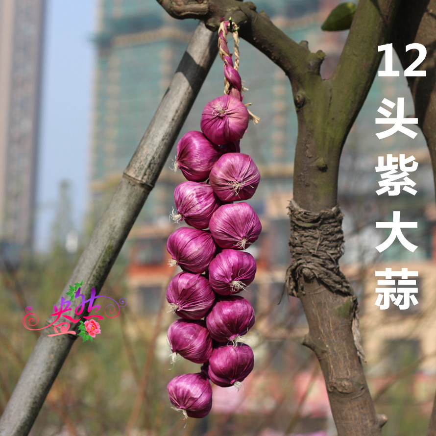 TB20lc_jXXXXXXGXXXXXXXXXXXX_!!