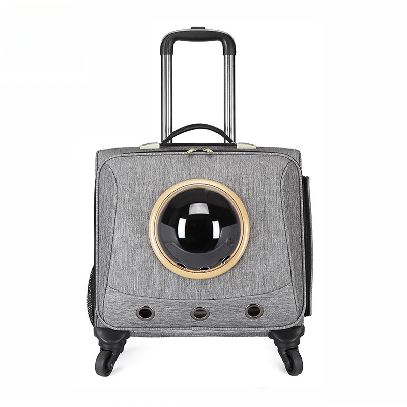 Suitcase to go out, universal storage box, 18 inch