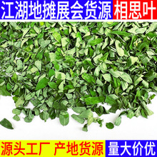 产地相思叶批发散装鸡骨草相思藤茶花茶凉茶泡茶江湖地摊展会货源